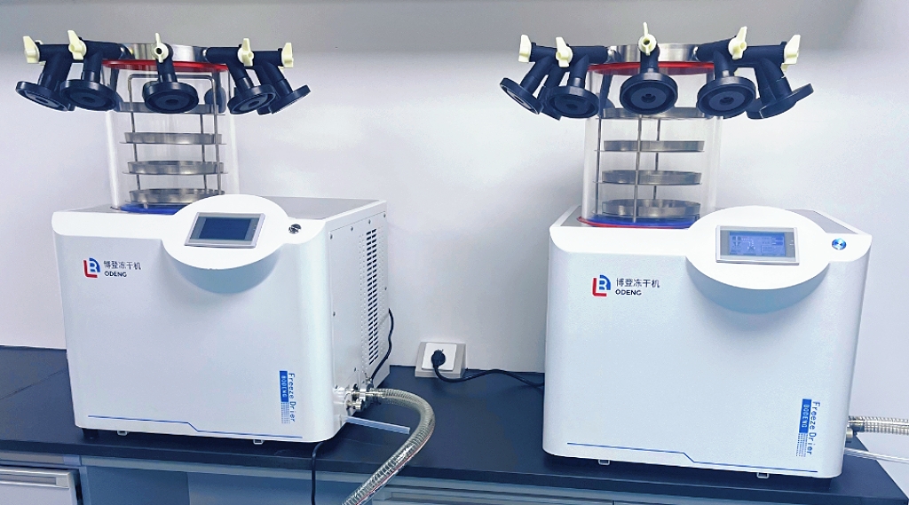 DGJ-12F普通多岐管装冷冻干燥机